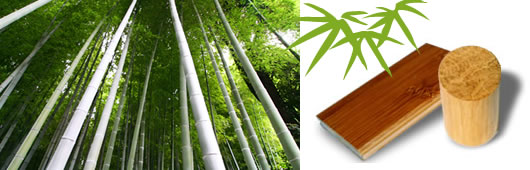 竹林と竹建材